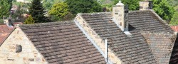 Moss covered rooftops